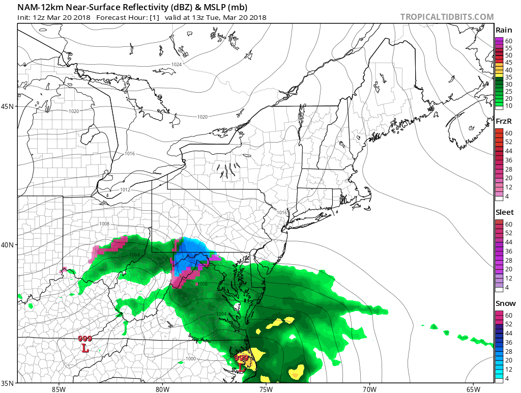 12Z NAM loop of surface-level forecast maps; courtesy NOAA/EMC, tropicaltidbits.com