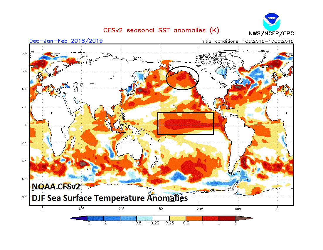 NOAA’s CFSv2 sea surface temperature anomaly forecast map for the upcoming winter season of December/January/February features an El Nino focused in the central part of the tropical Pacific Ocean and a large patch of warmer-than-normal water in the Gulf of Alaska .