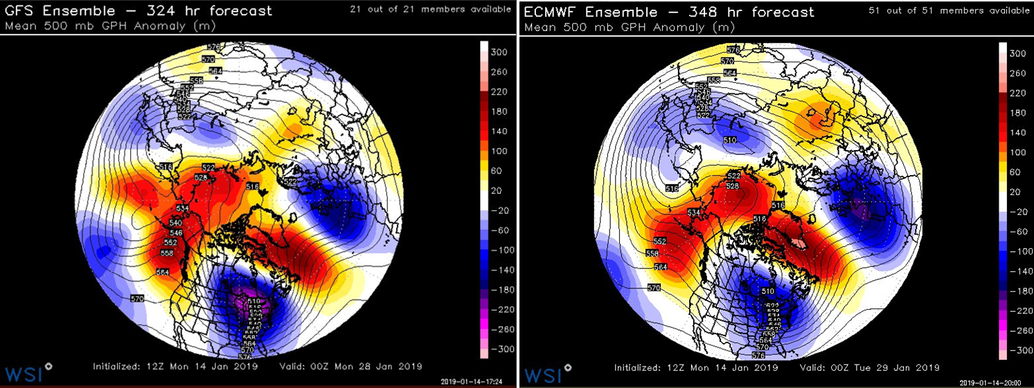 12Z GEFS (left) and 12Z EPS (right) forecast maps of 500 mb height anomalies for late January both feature deep troughs over the eastern US and Aleutian Islands of Alaska (in blue, purple), strong ridging along the west coast of Canada/US (in orange, red), and “high-latitude blocking” over Greenland and other nearby polar regions (in orange, red)…a snow lovers delight to see this type of pattern; maps courtesy NOAA/EMC, WSI, Inc.