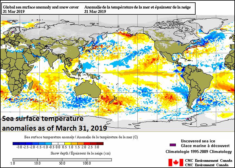 Current sea surface temperature (SST) anomalies with El Nino (warmer-than-normal) conditions prevailing in the tropical Pacific Ocean and colder-than-normal water off the west coast of Africa; map courtesy CMC Environment Canada