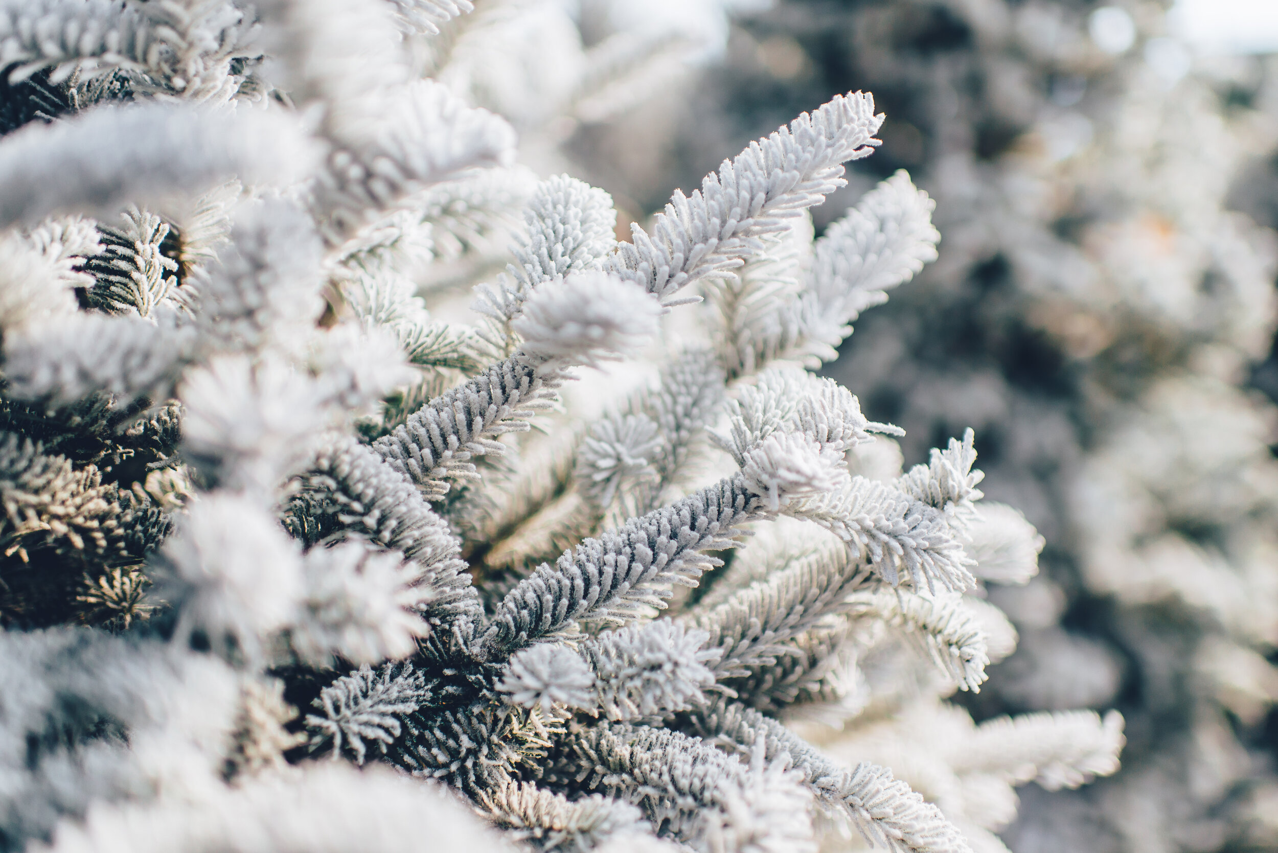 2013-2014 Winter Outlook