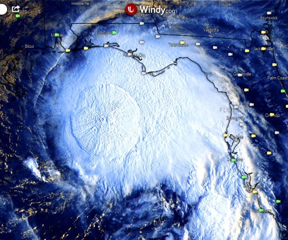 Gravity waves and Tropical Storm Sally