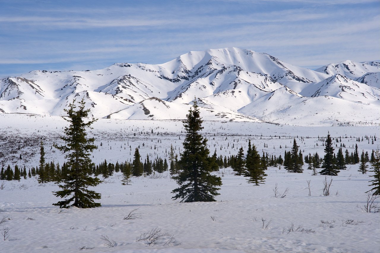 Snow cover remains in Denali National Park (Alaska)