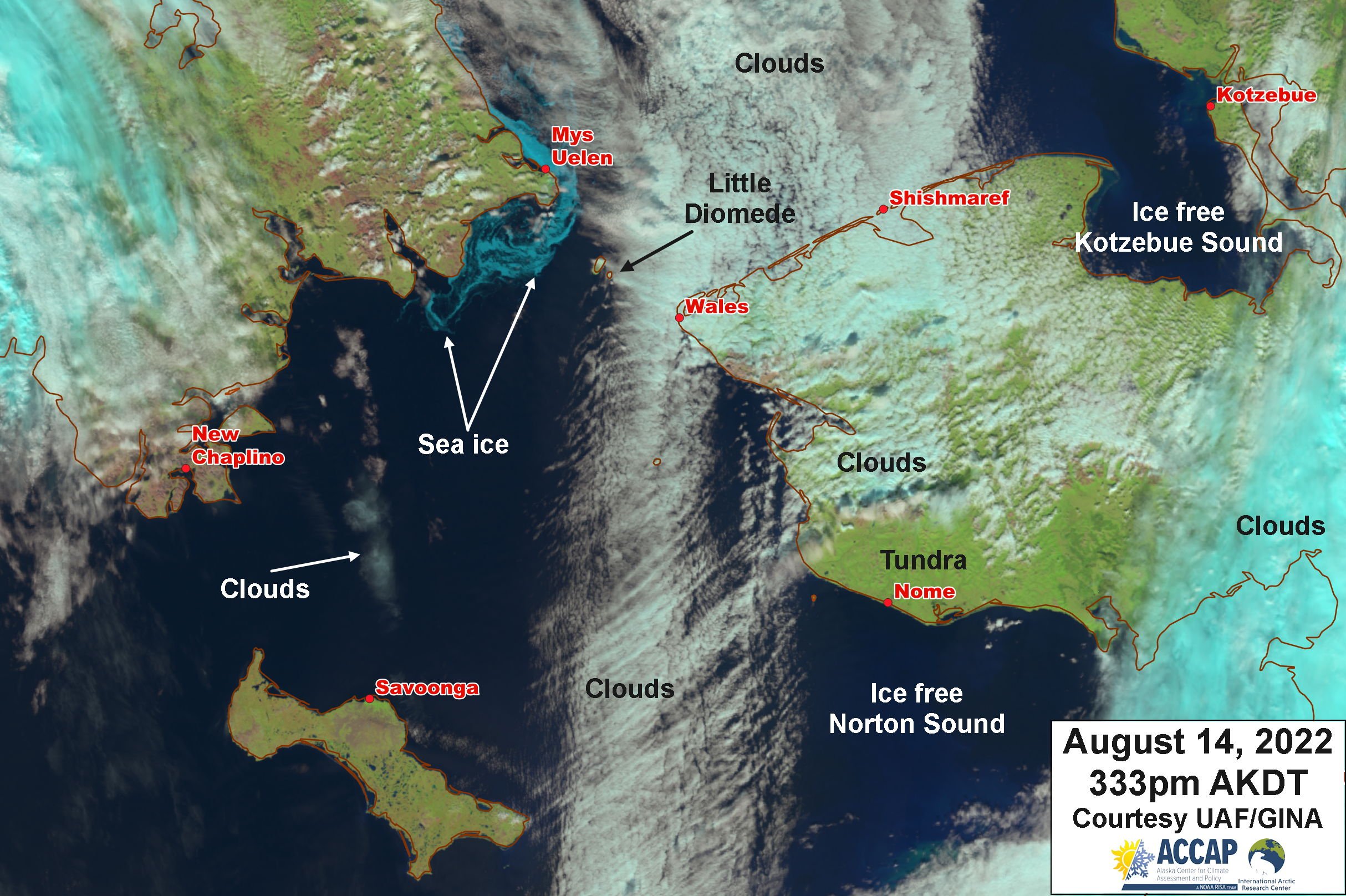 Sea Ice in the Bering Strait