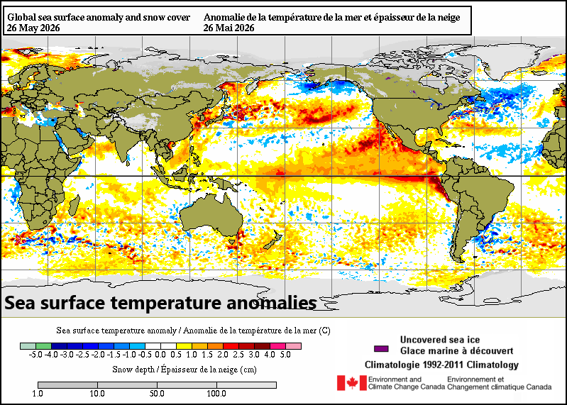 *El Nino continues to unfold across the equatorial Pacific...signs point to a strong event with implications on the upcoming tropical season and potentially next winter as well* 