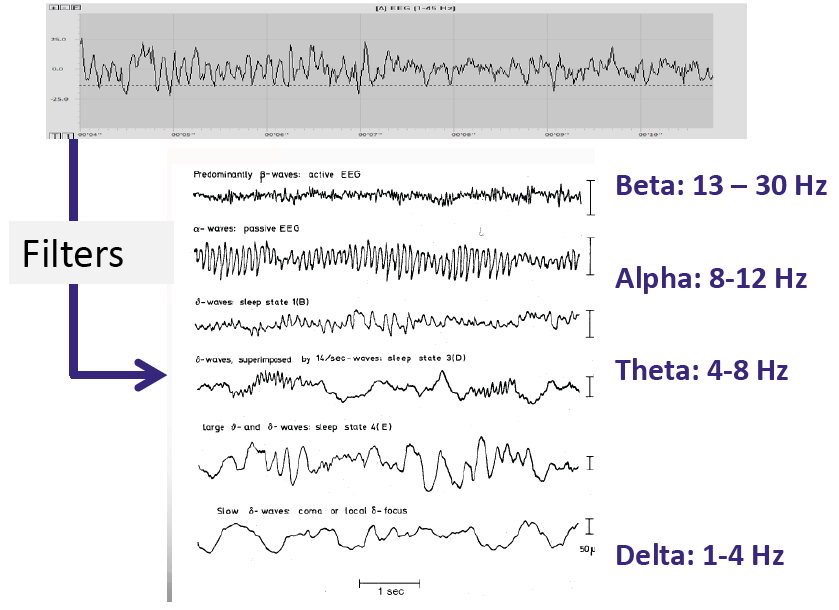 Transforming raw EEG into frequency bands