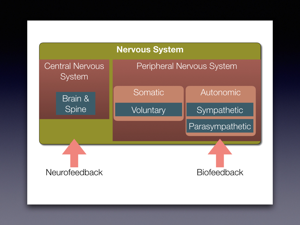 We believe in combining Biofeedback sensors that reflect the status of the Peripheral Nervous System along with Neurofeedack