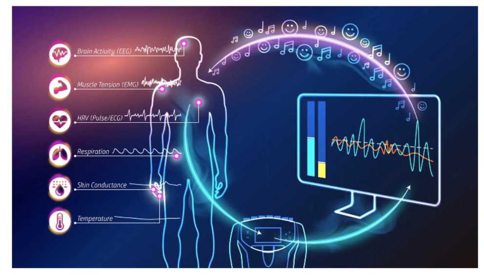 The neurophysiological feedback loop