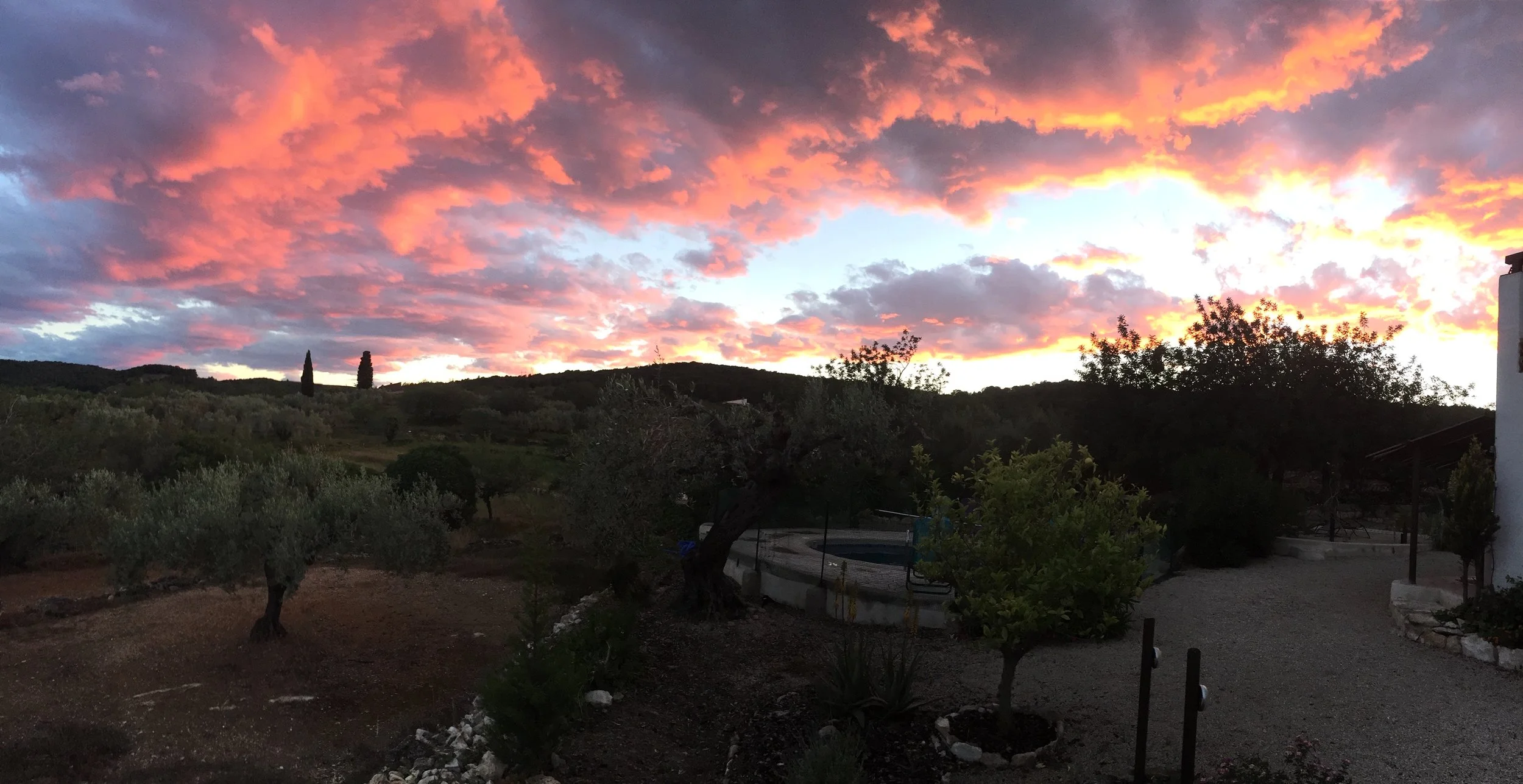 garden.JPG