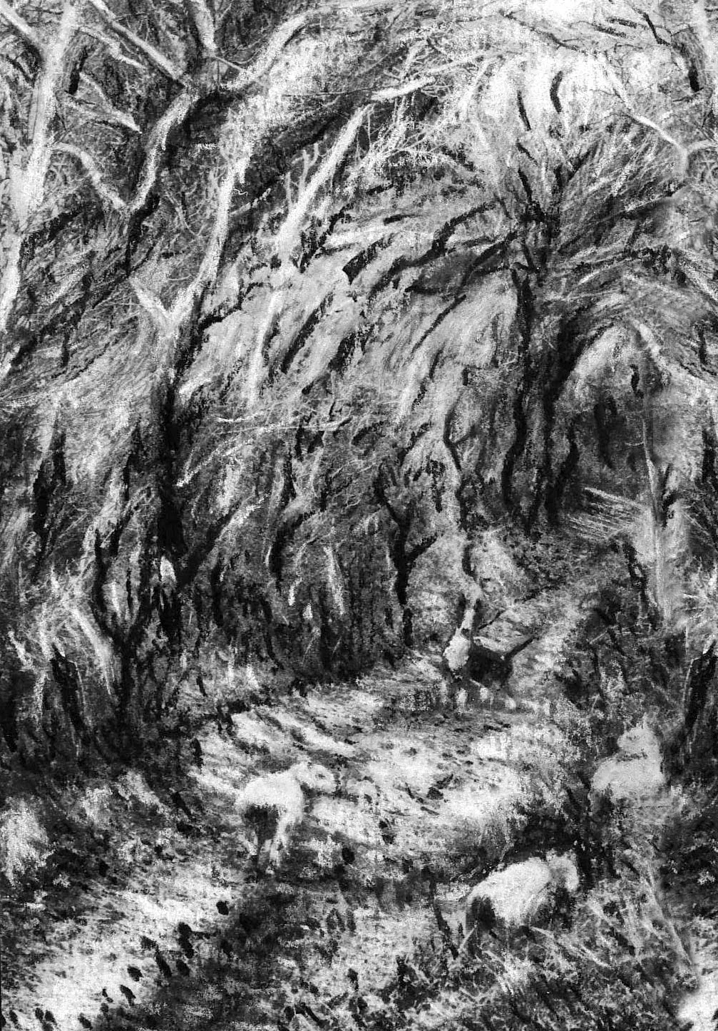 bw-sketch-sheep-devon.jpg