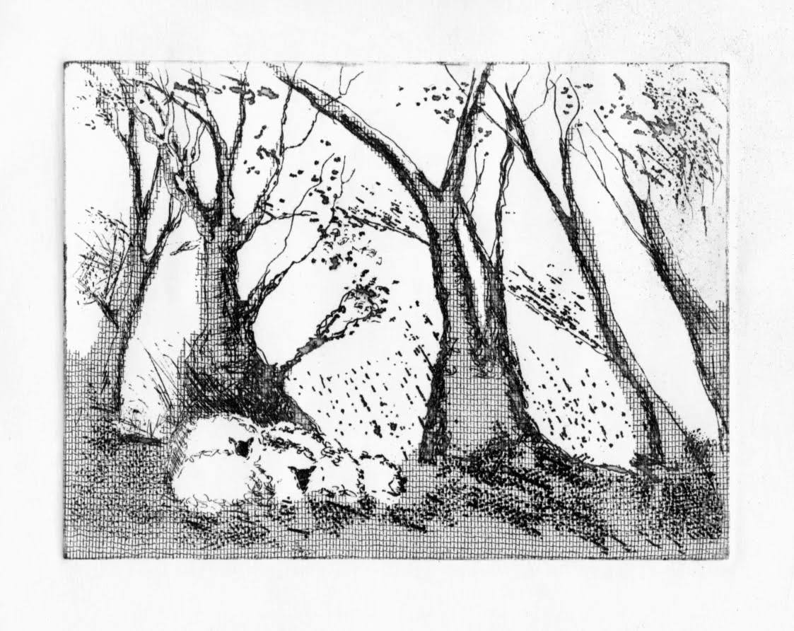 etching-trees.jpg