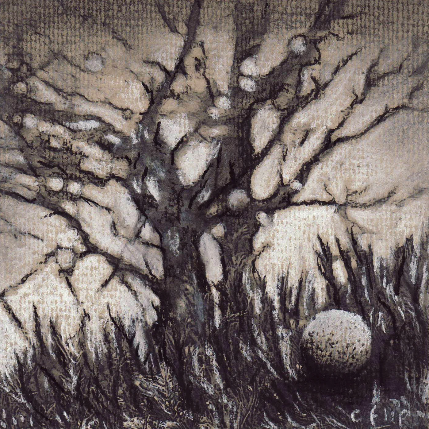 sketch-tree-and-stone.jpg