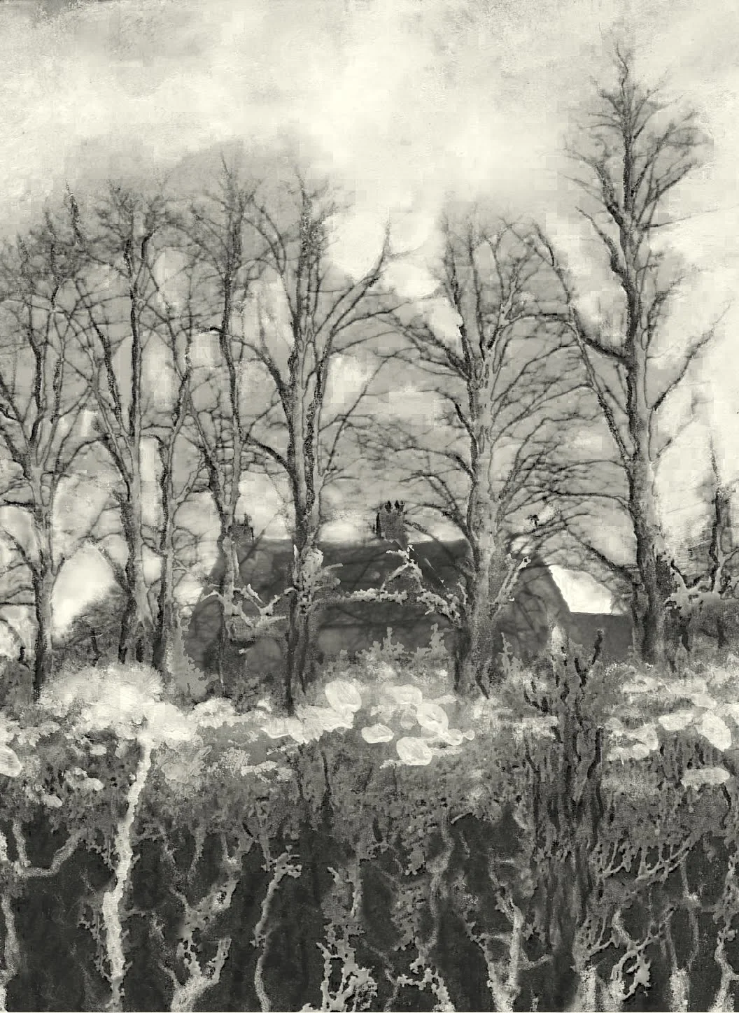 trees-and-sulgrave-manor.jpg
