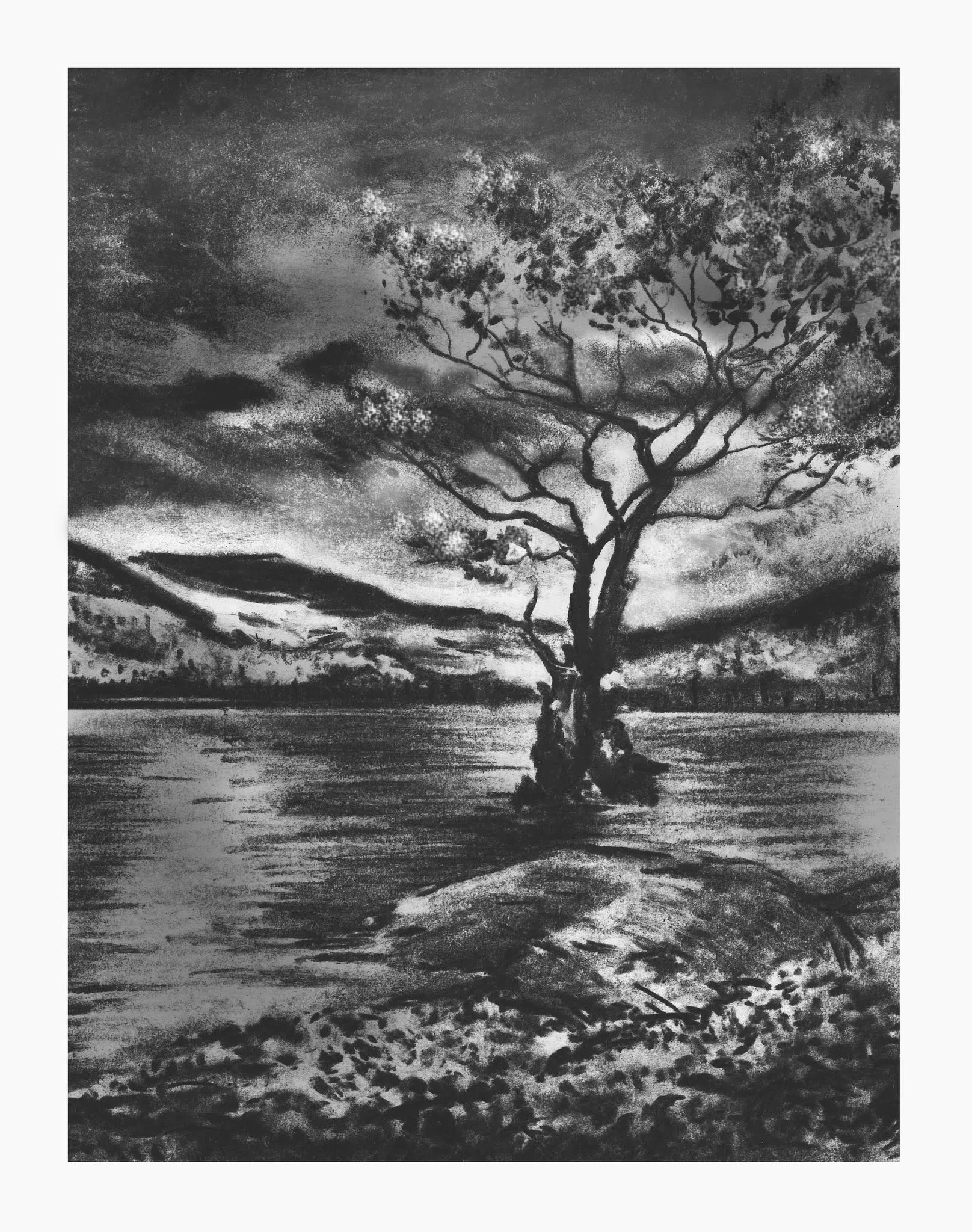 tree-image.jpg