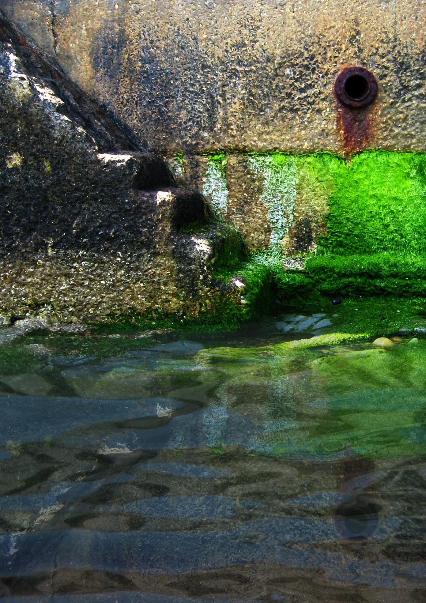 green-steps-reflection.jpg