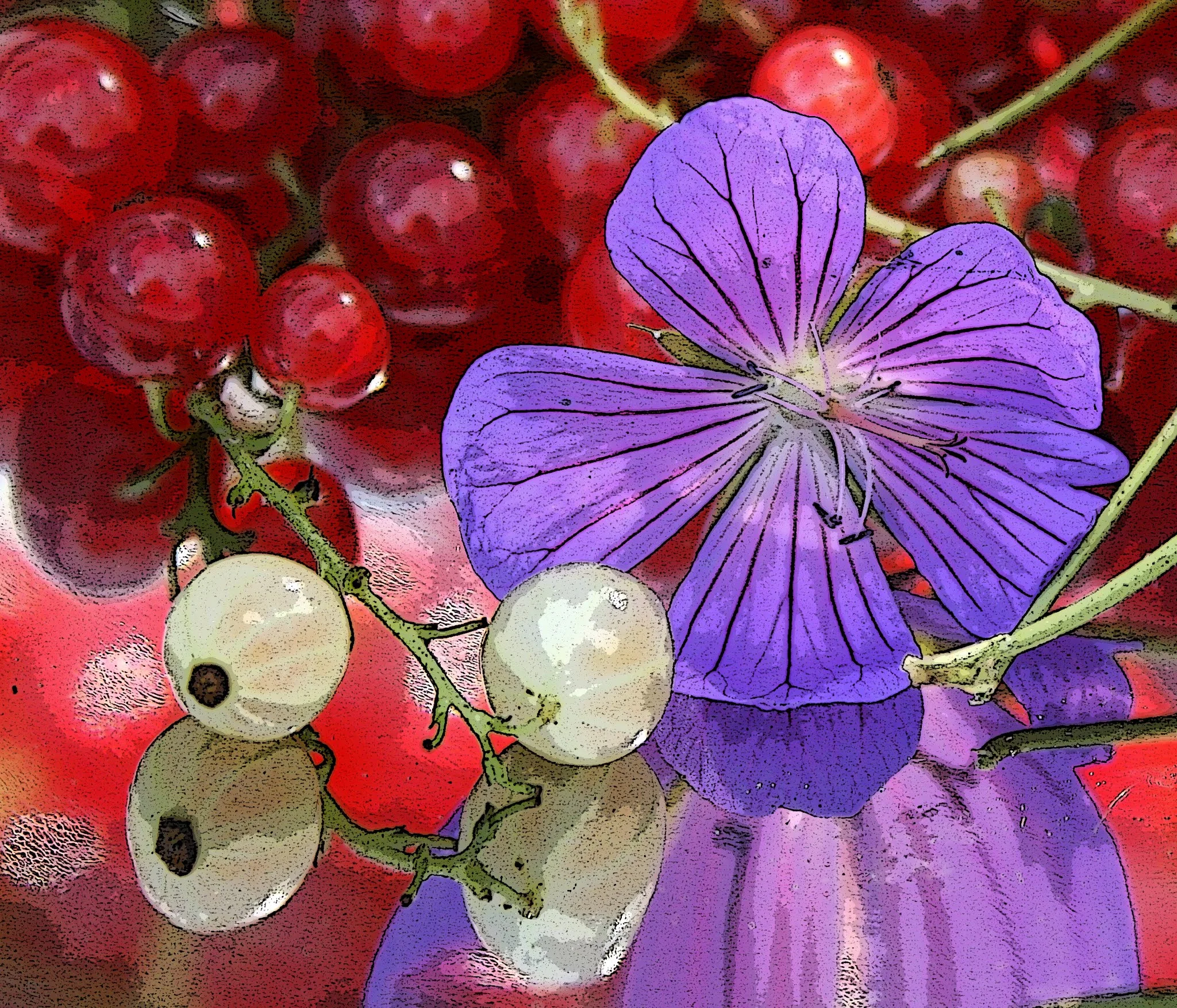 redcurrants-poster.jpg