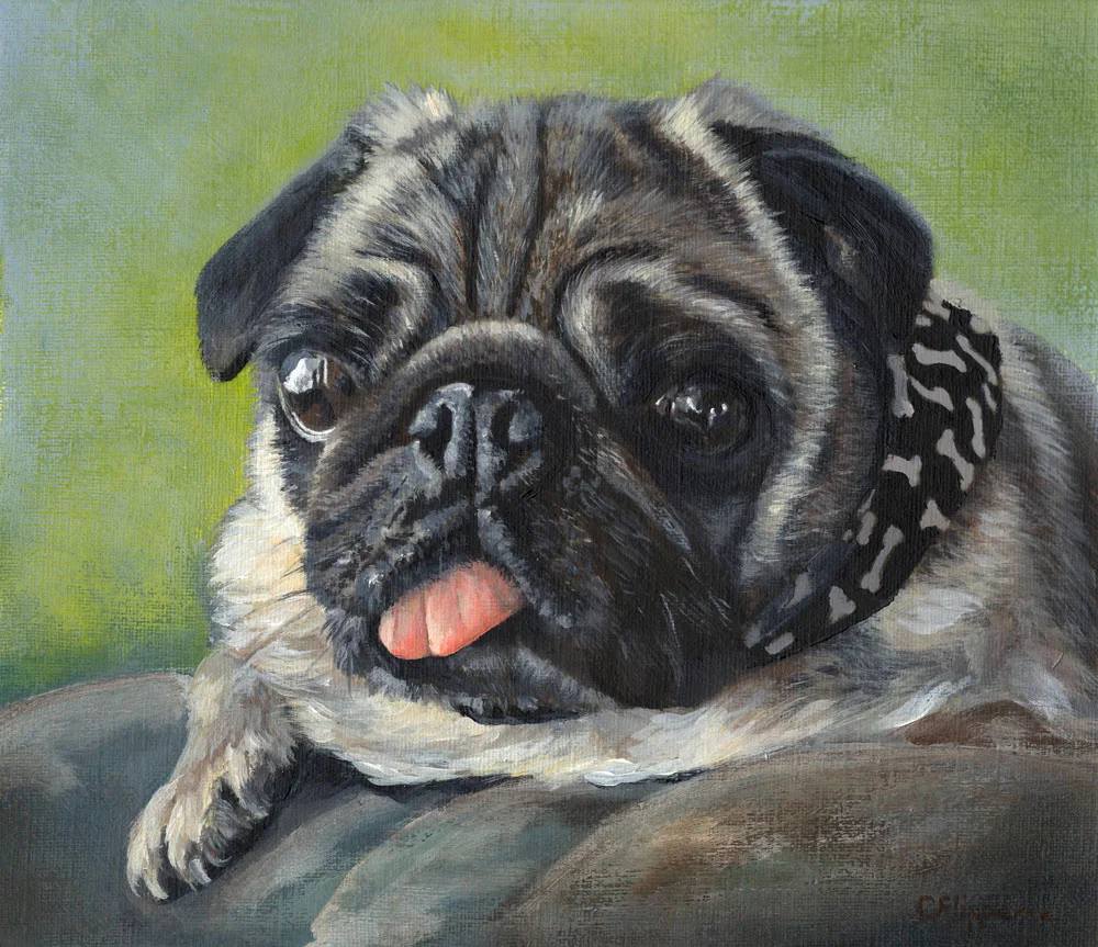 Pug-2.jpg
