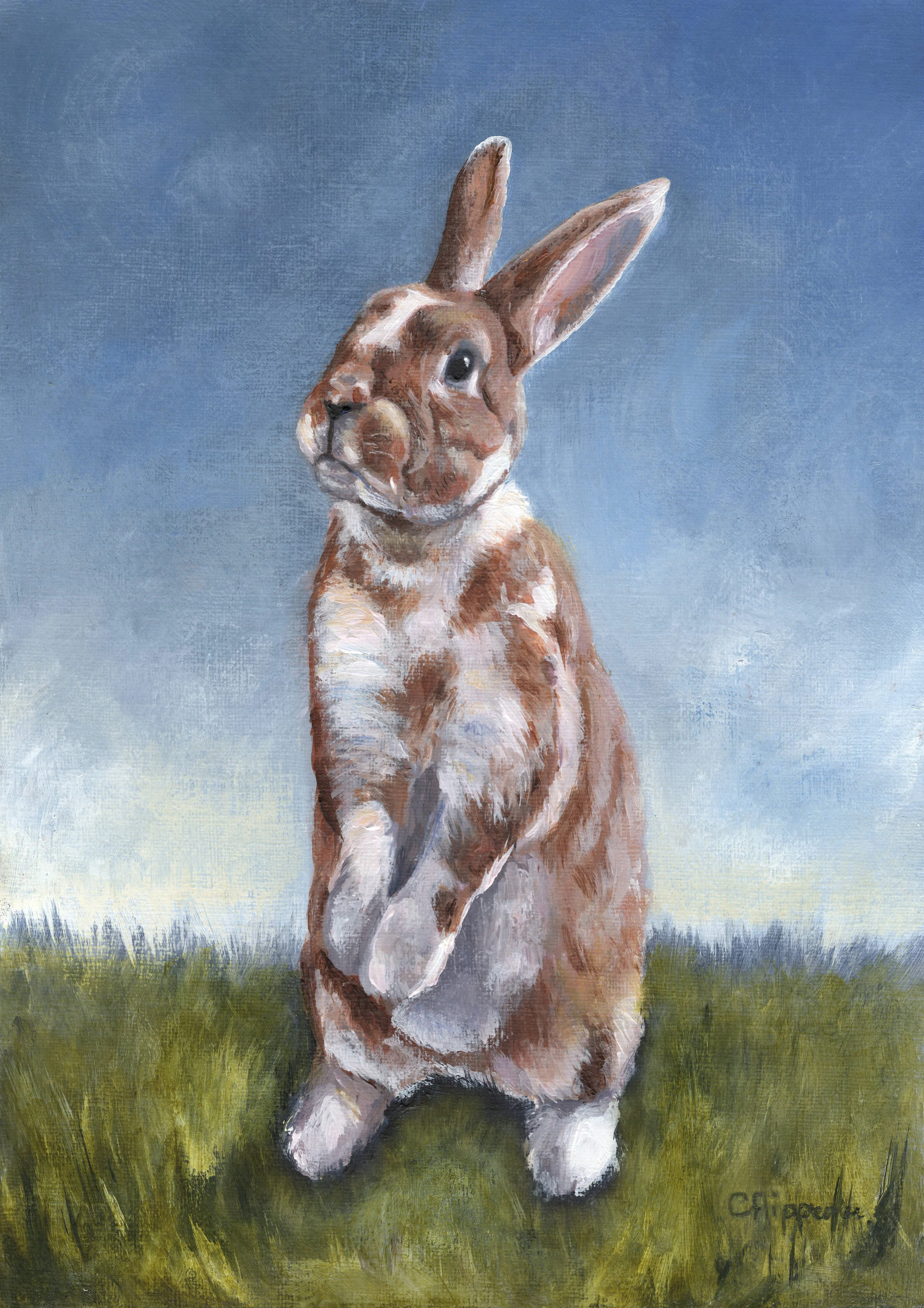 Amy's rabbit.jpg