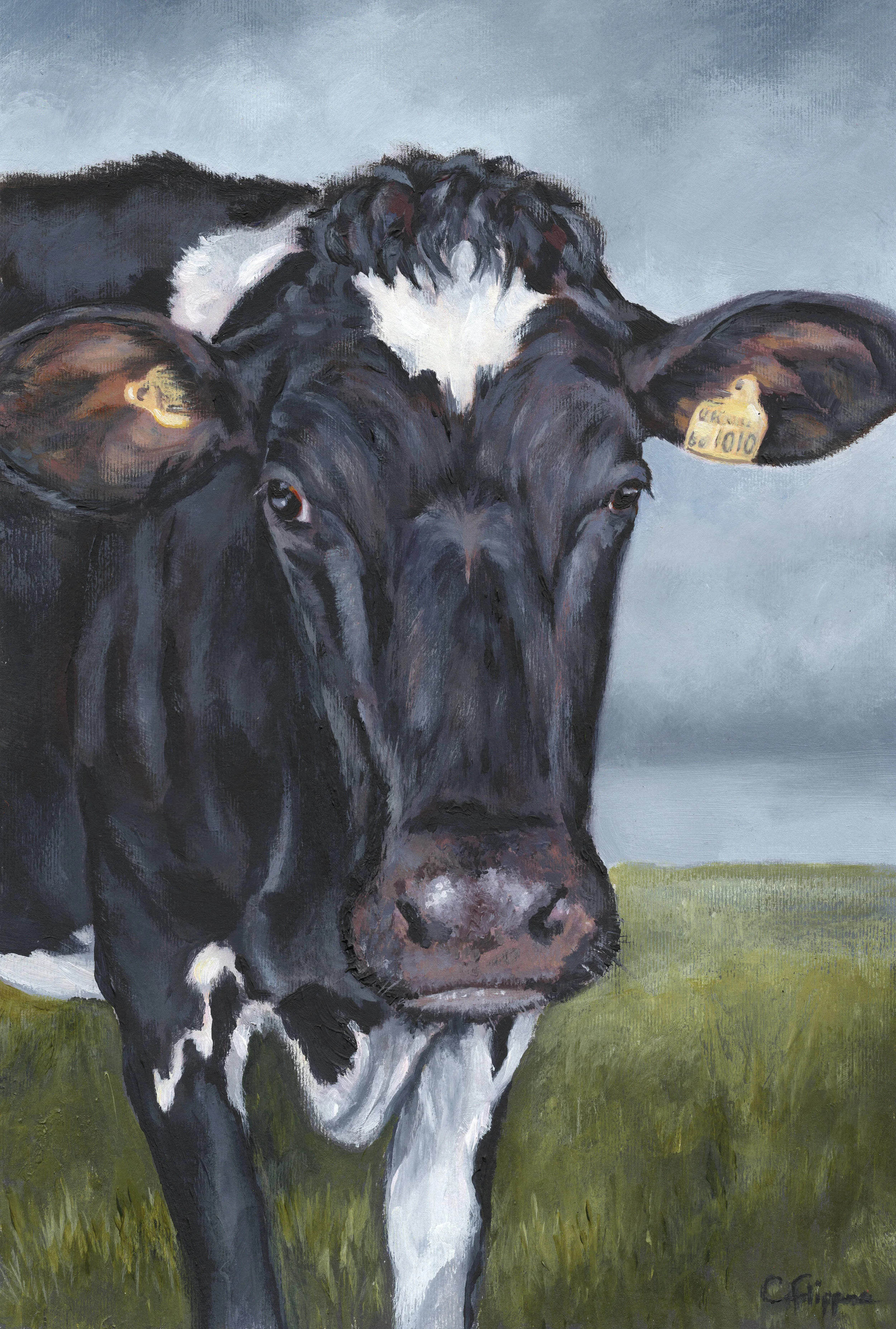Frankie cow.jpg