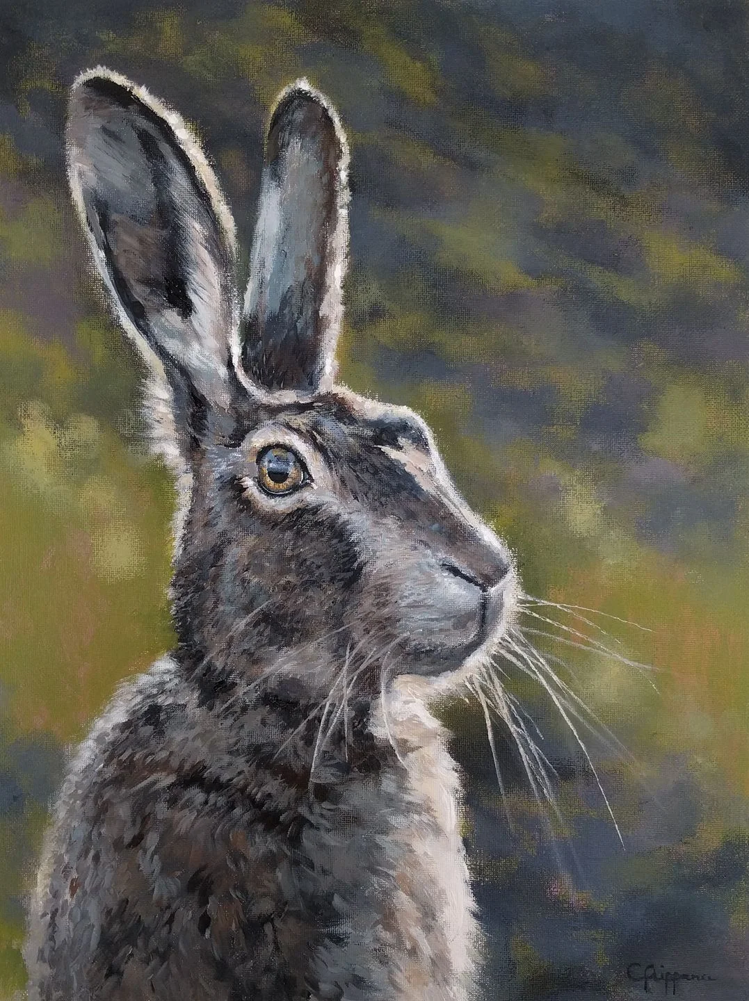 Hare of Rachel.jpg