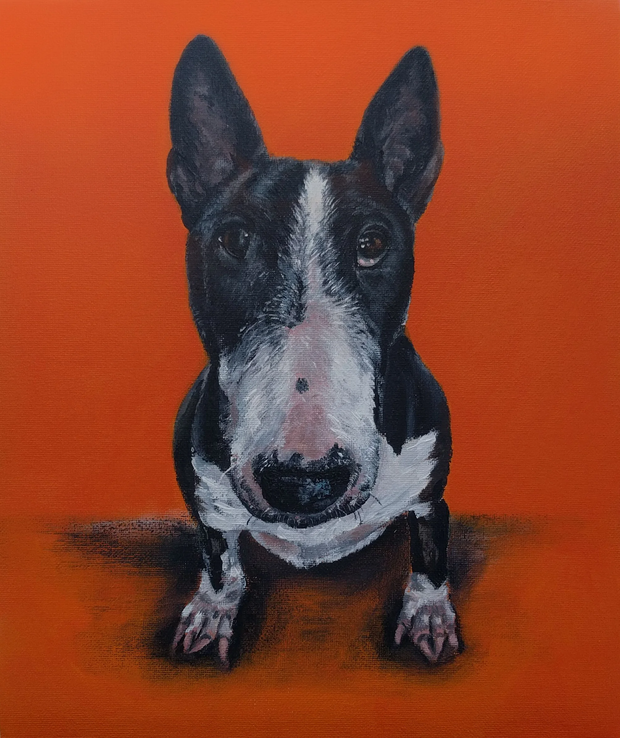 Daisy in orange.jpg