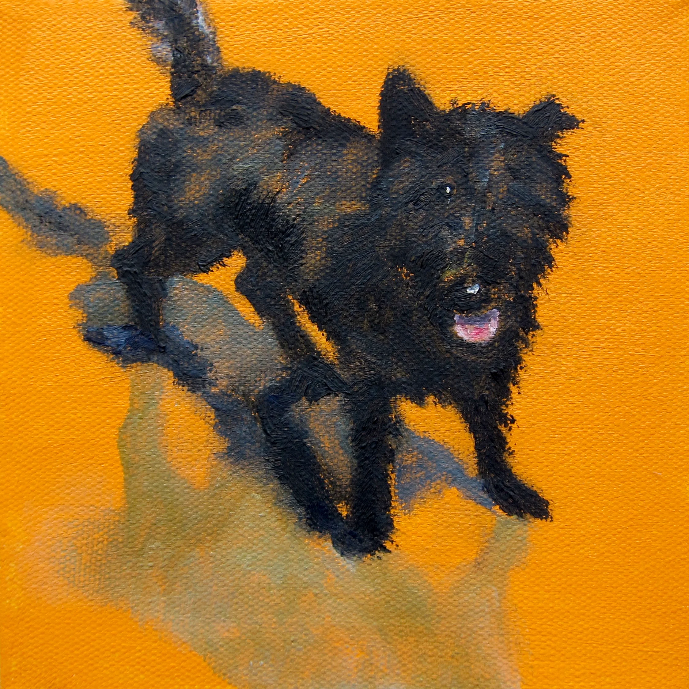 Pev's Dog.jpg