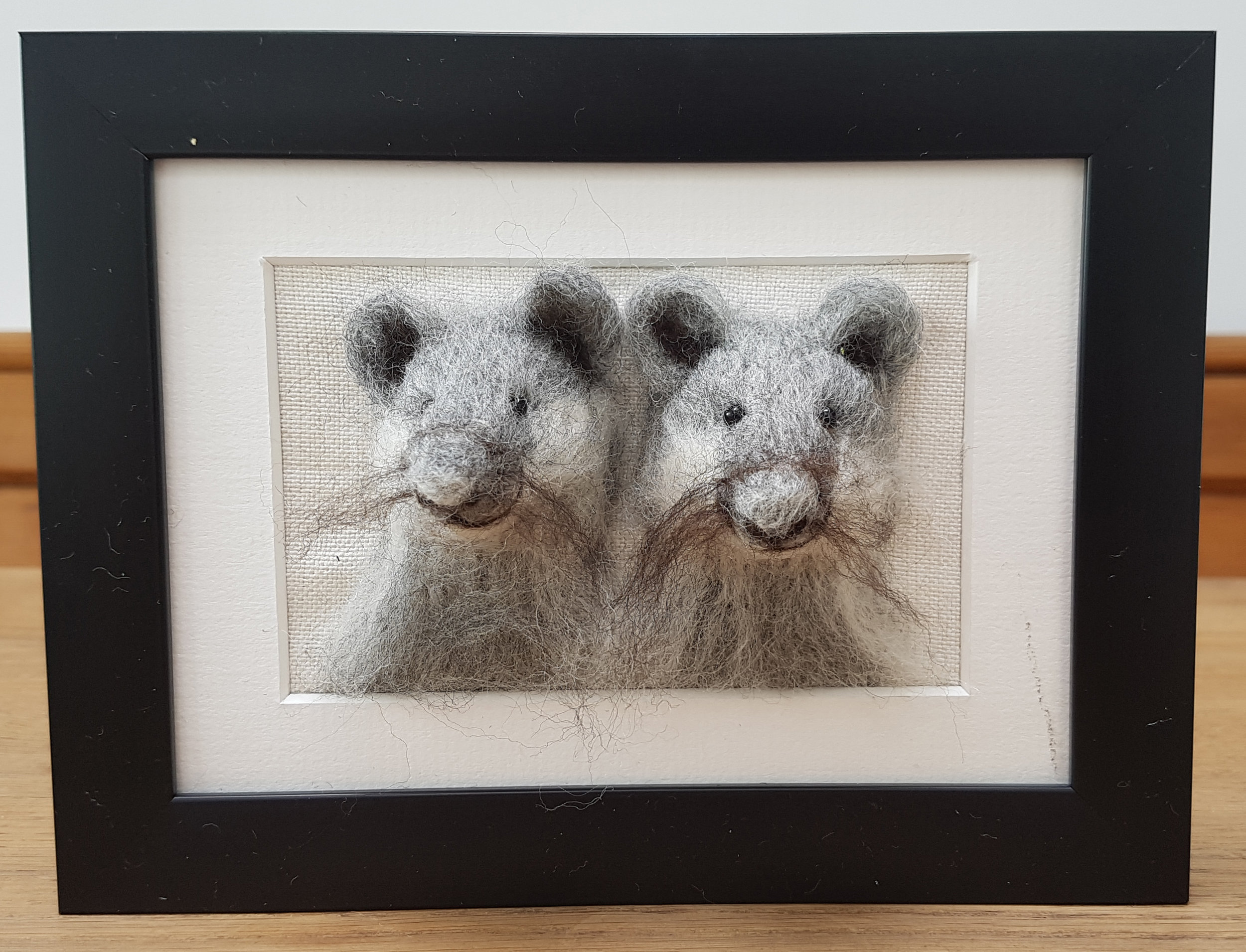 Two mice Fluffyhead.jpg
