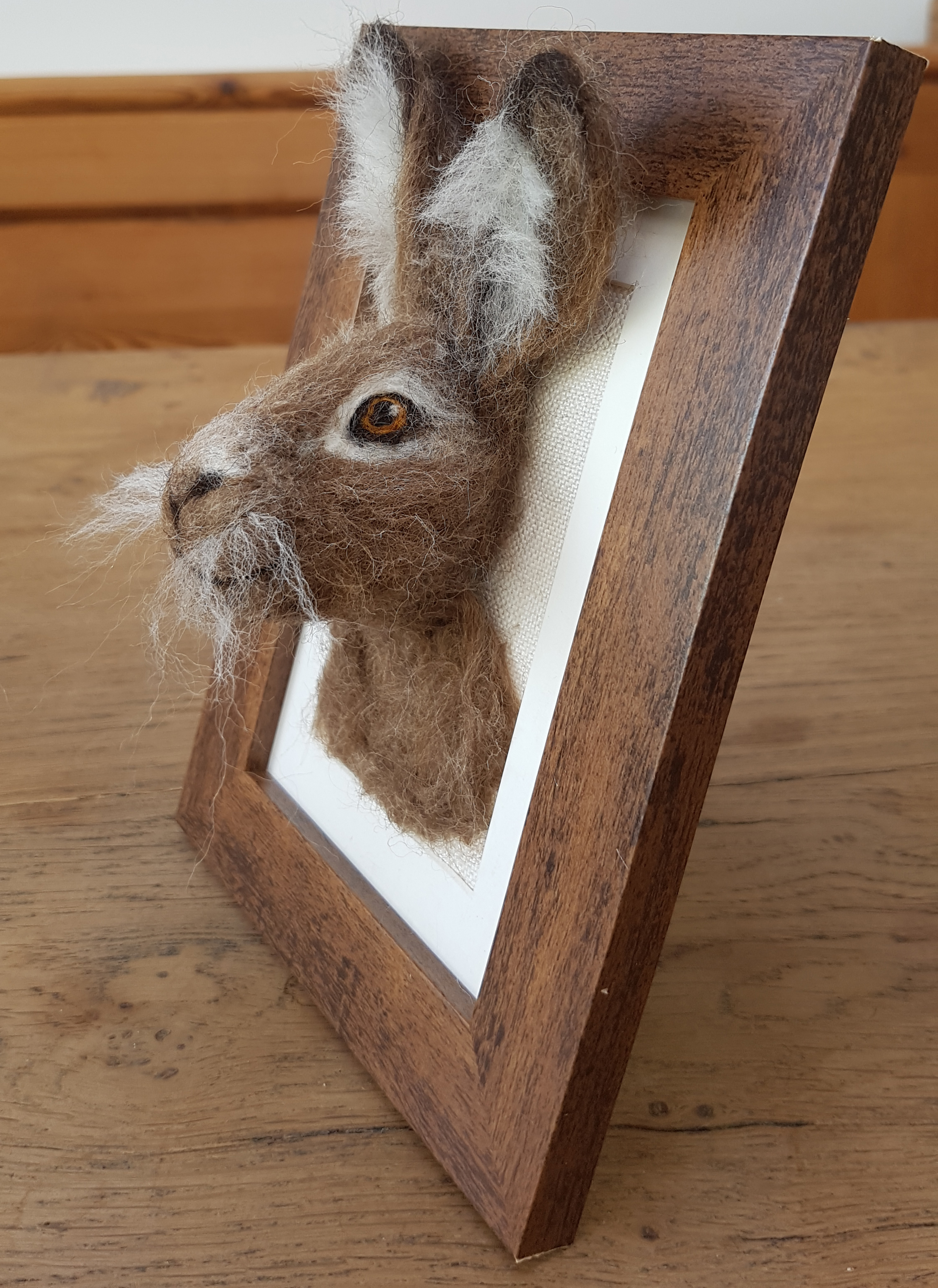 Brown hare Fluffyhead 3.jpg