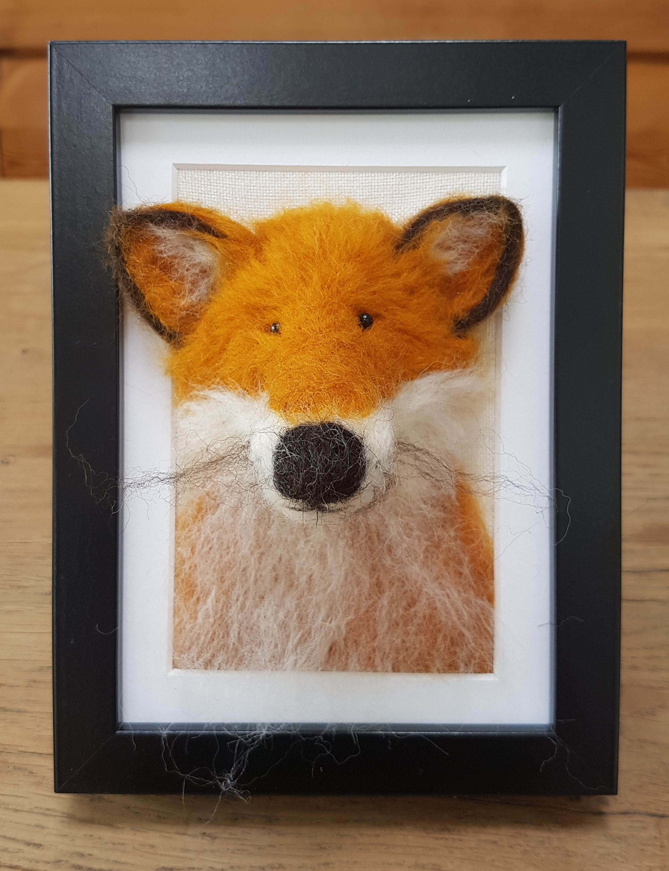 Fox Fluffyhead 1.jpg