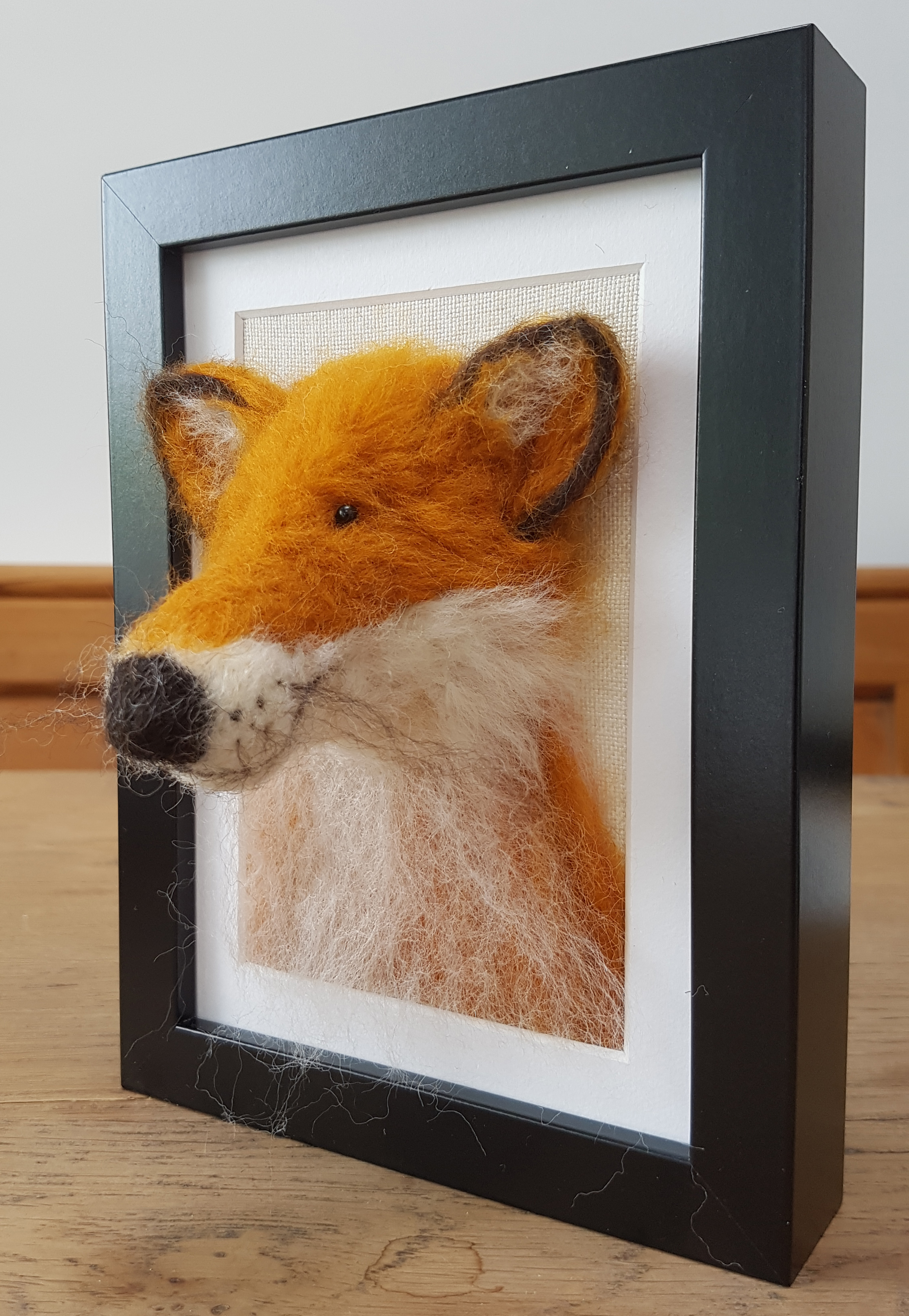 Fox Fluffyhead 2.jpg