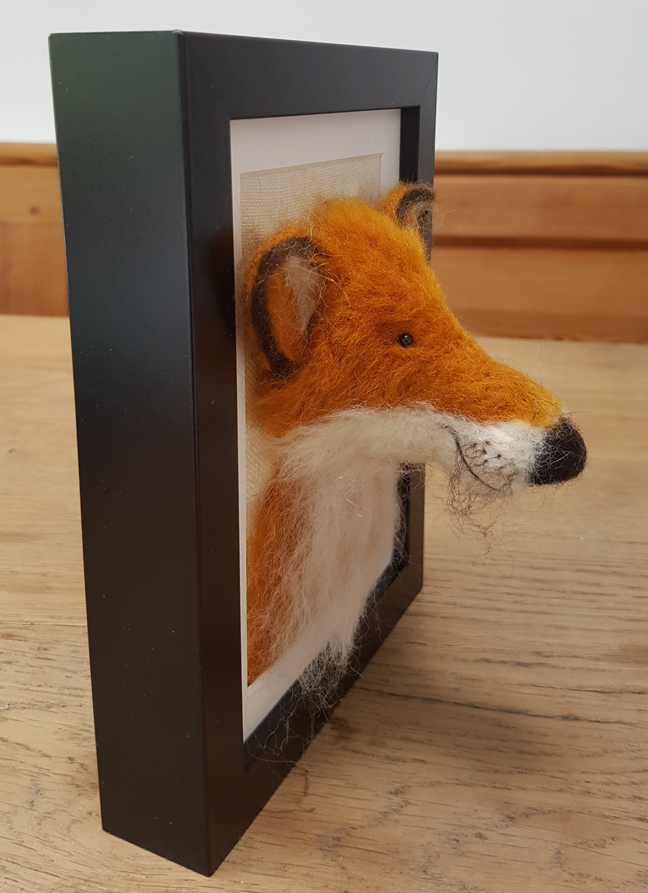 Fox Fluffyhead 4.jpg
