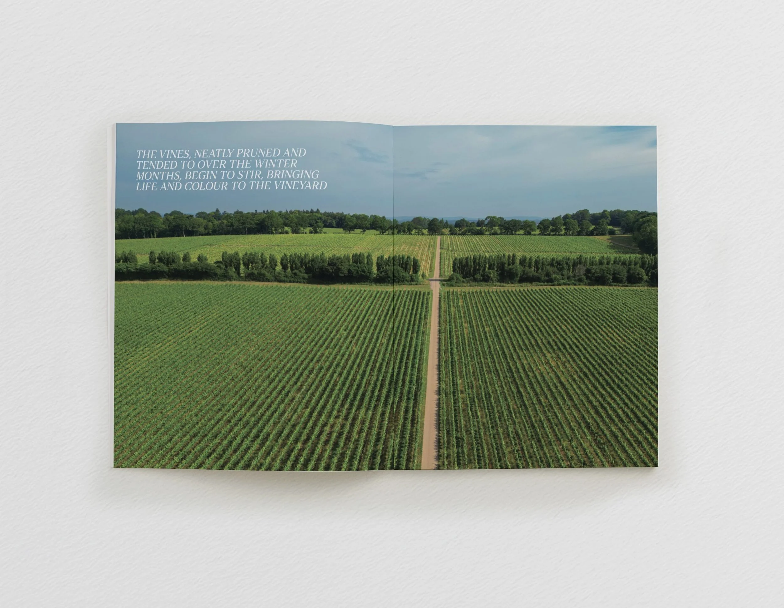 nyetimber-2-scaled.jpg