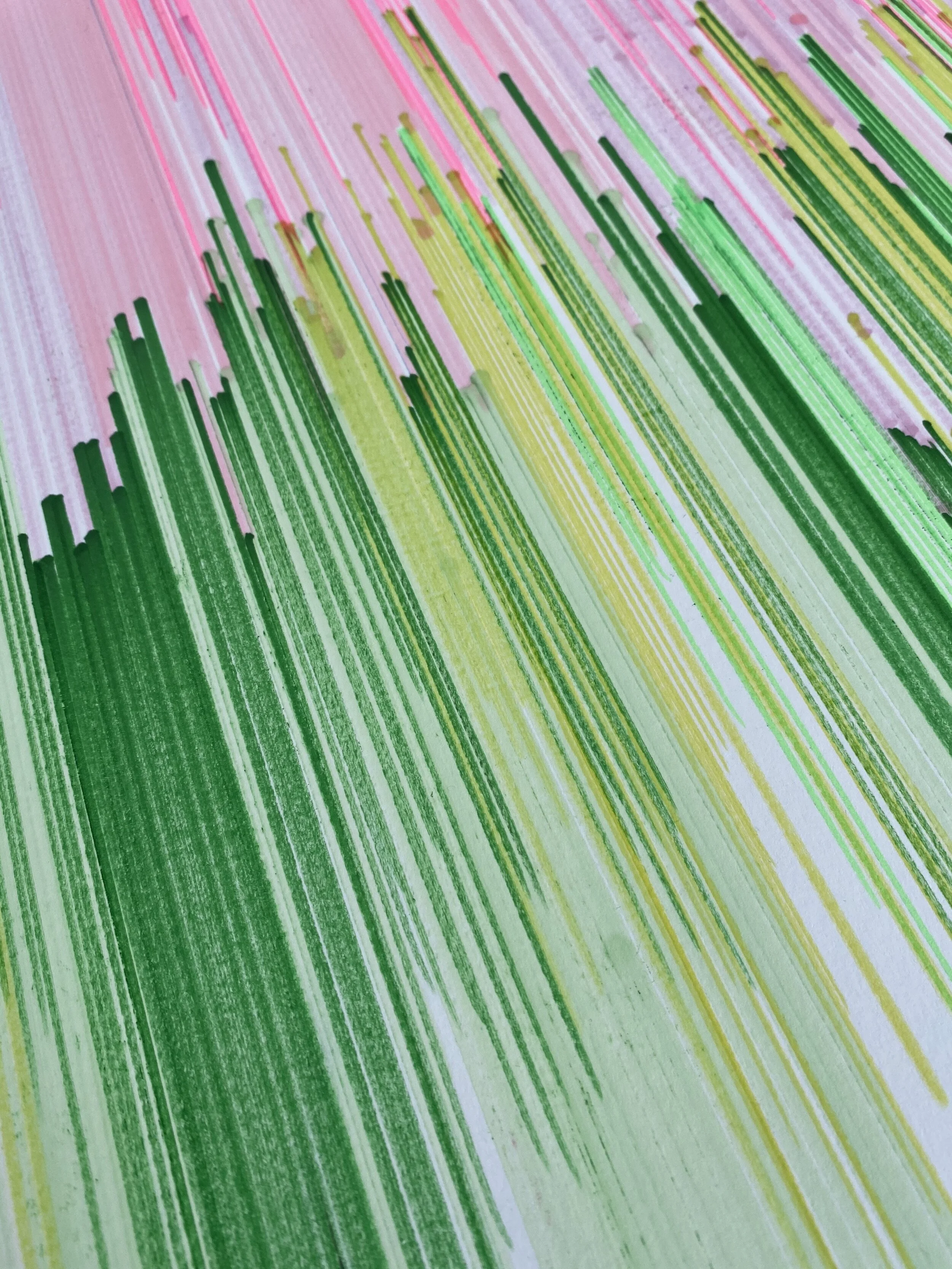 Blushpalm close up.JPG