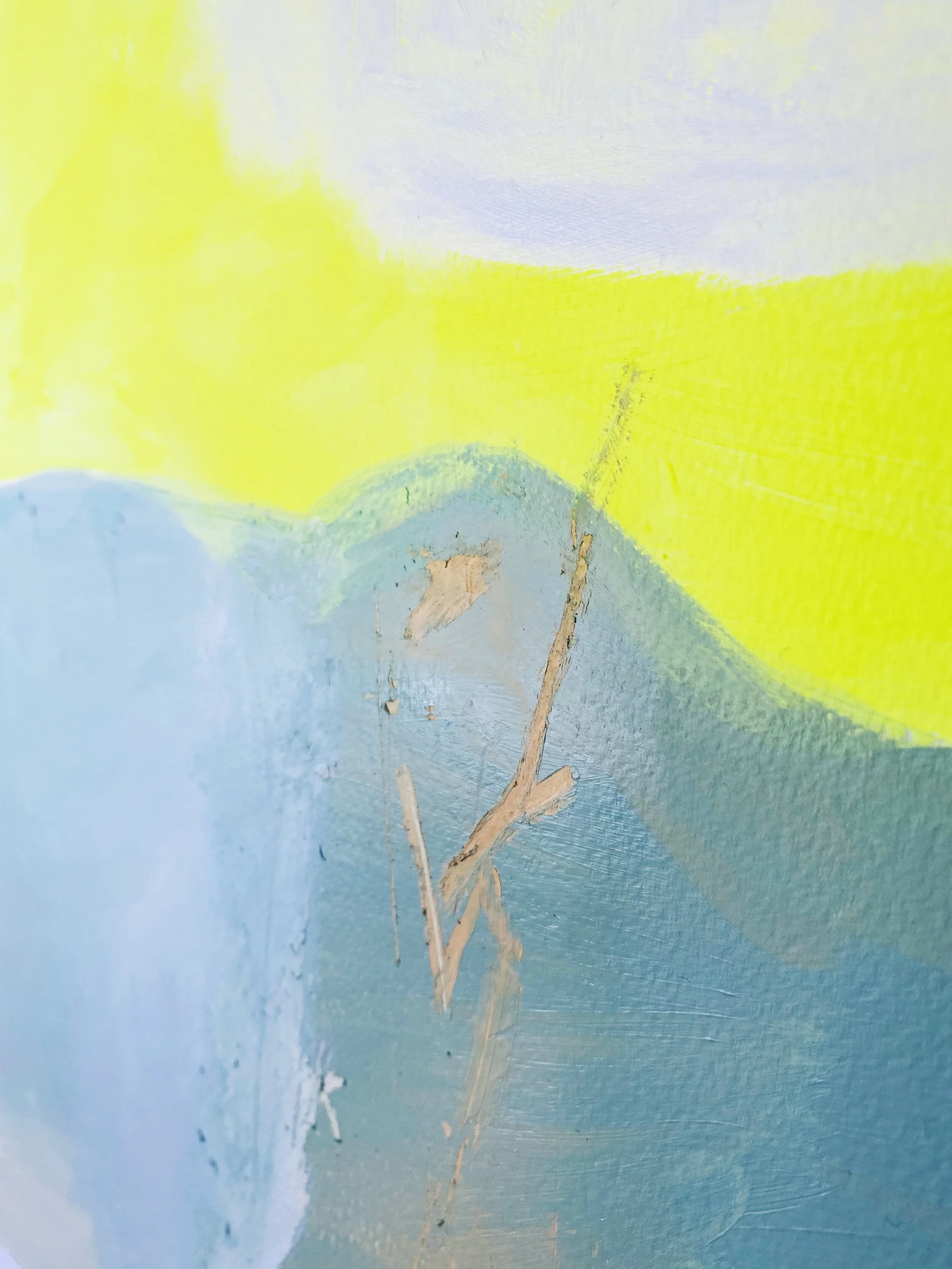 Dreamscape Close Up.jpg