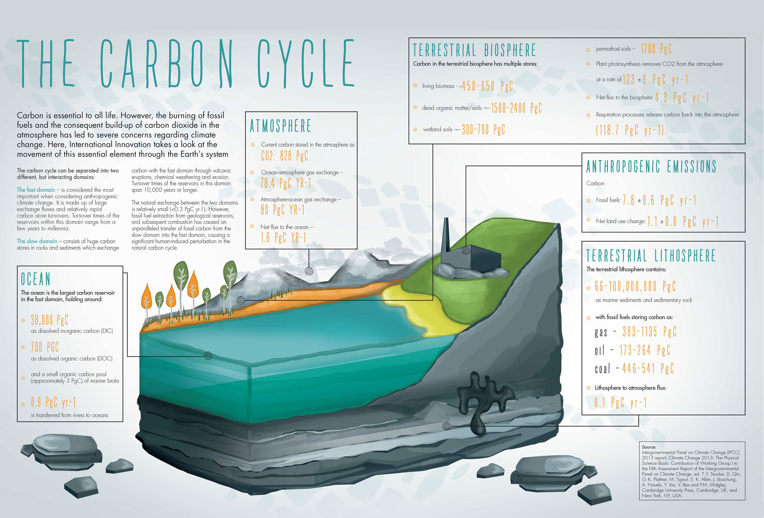 Carbon_cycle_infographic-NEW.jpg