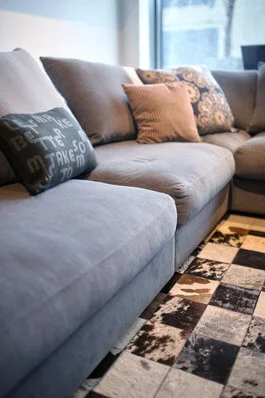 bed bug heat treatment saves furniture, rugs, and other items from being thrown away from an infestation