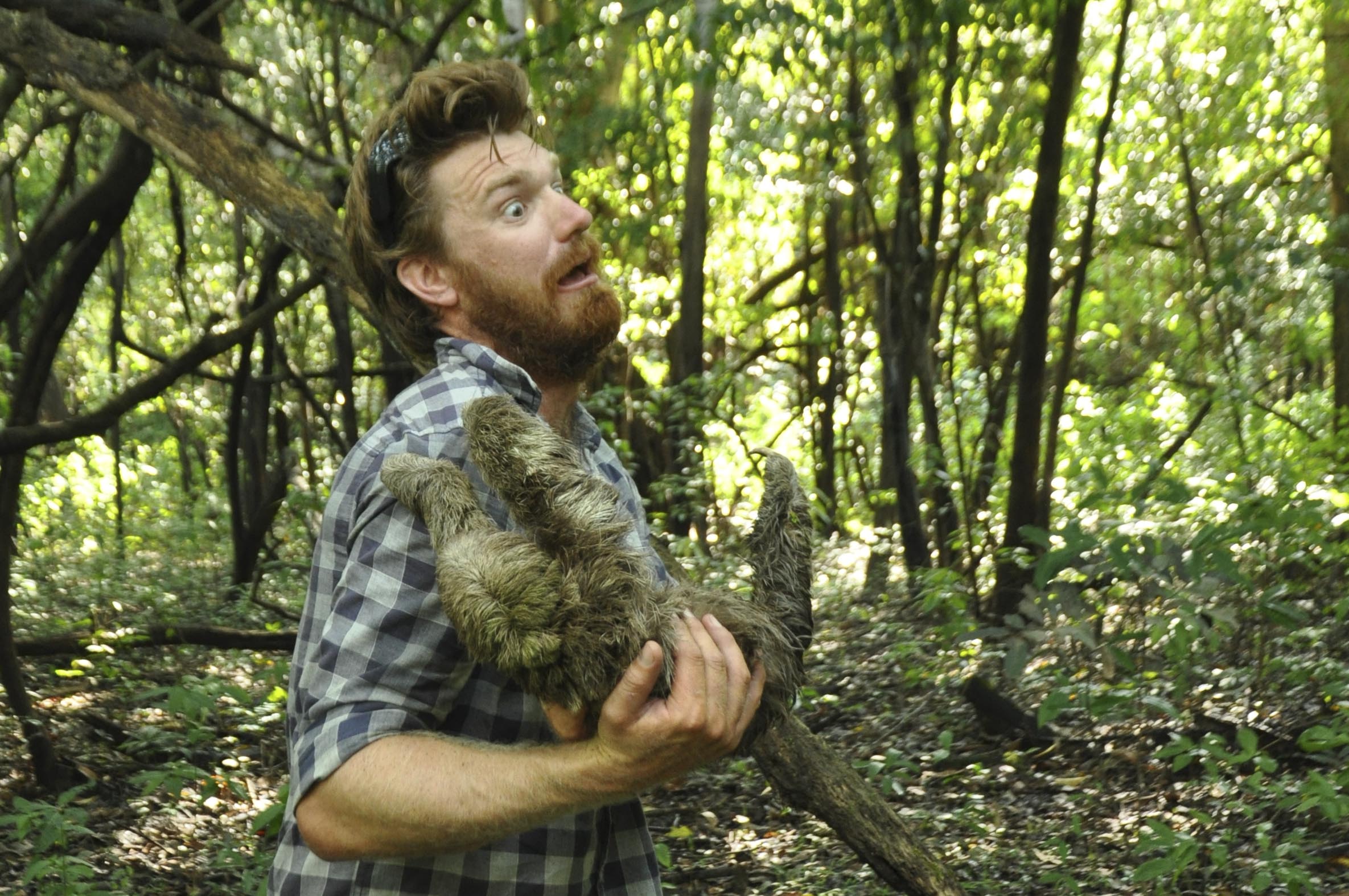 Being attacked by a sloth – not magical!