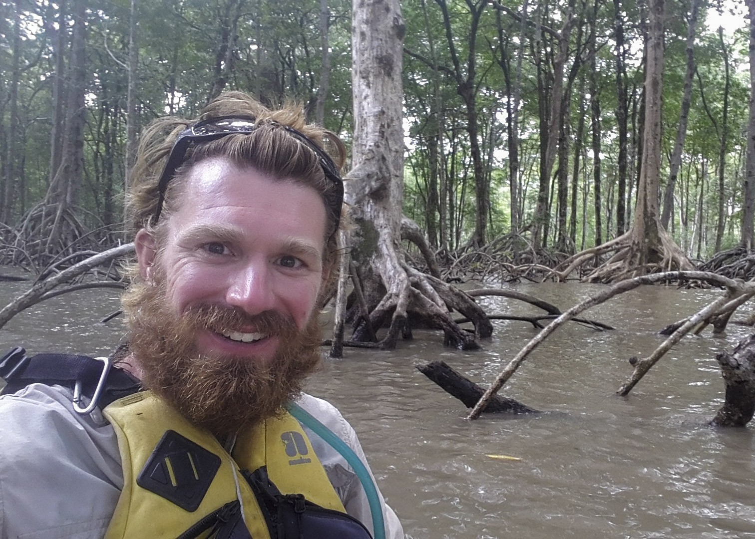 Hanging out in the mangroves