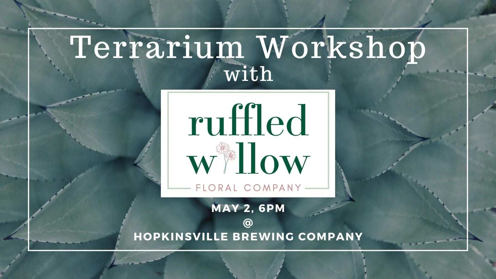 Terrarium Workshop with Ruffled Willow