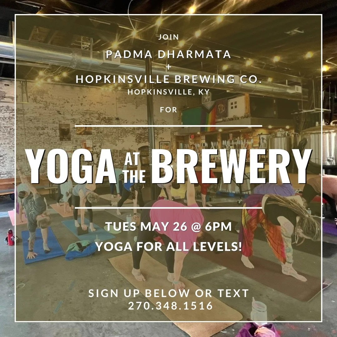 Yoga at the Brewery