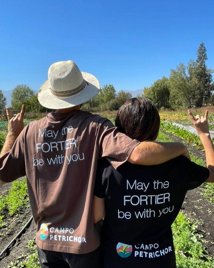May the FORTIER be with you and all of us this weekend in @laferiahuertera en @vivero_lahuan Los esperamos! #jeanmartinfortier #marketgardening #agriculturaregenerativa #notill #photooftheday