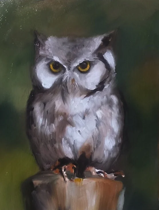 Owl, oil on wood, 11x14", 2015
