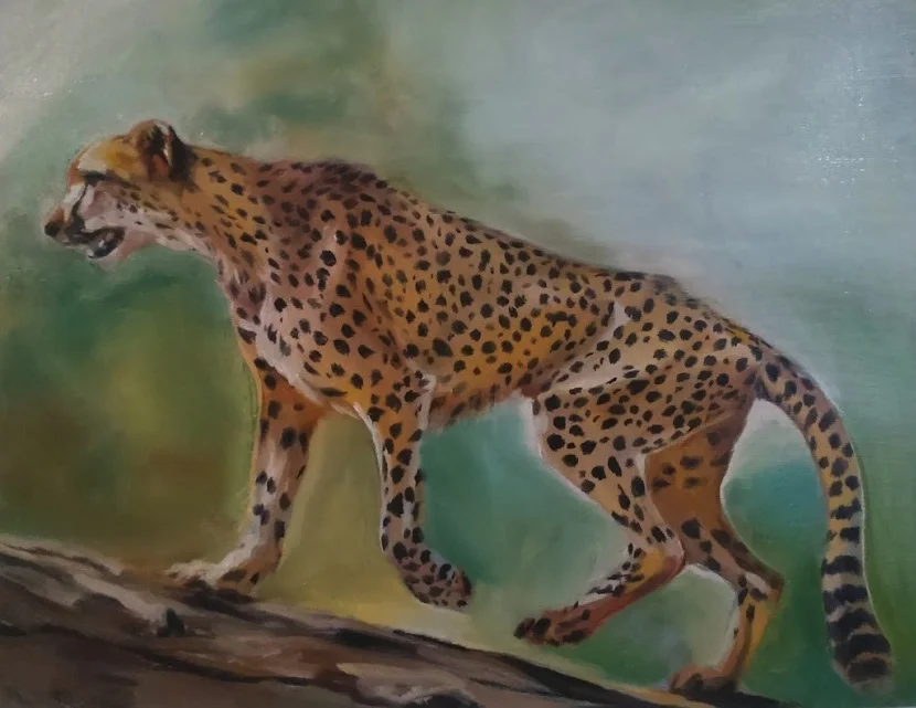 Cheetah study, oil on wood, 11x14", 2015