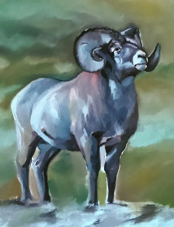 Ram study, oil on wood, 2015