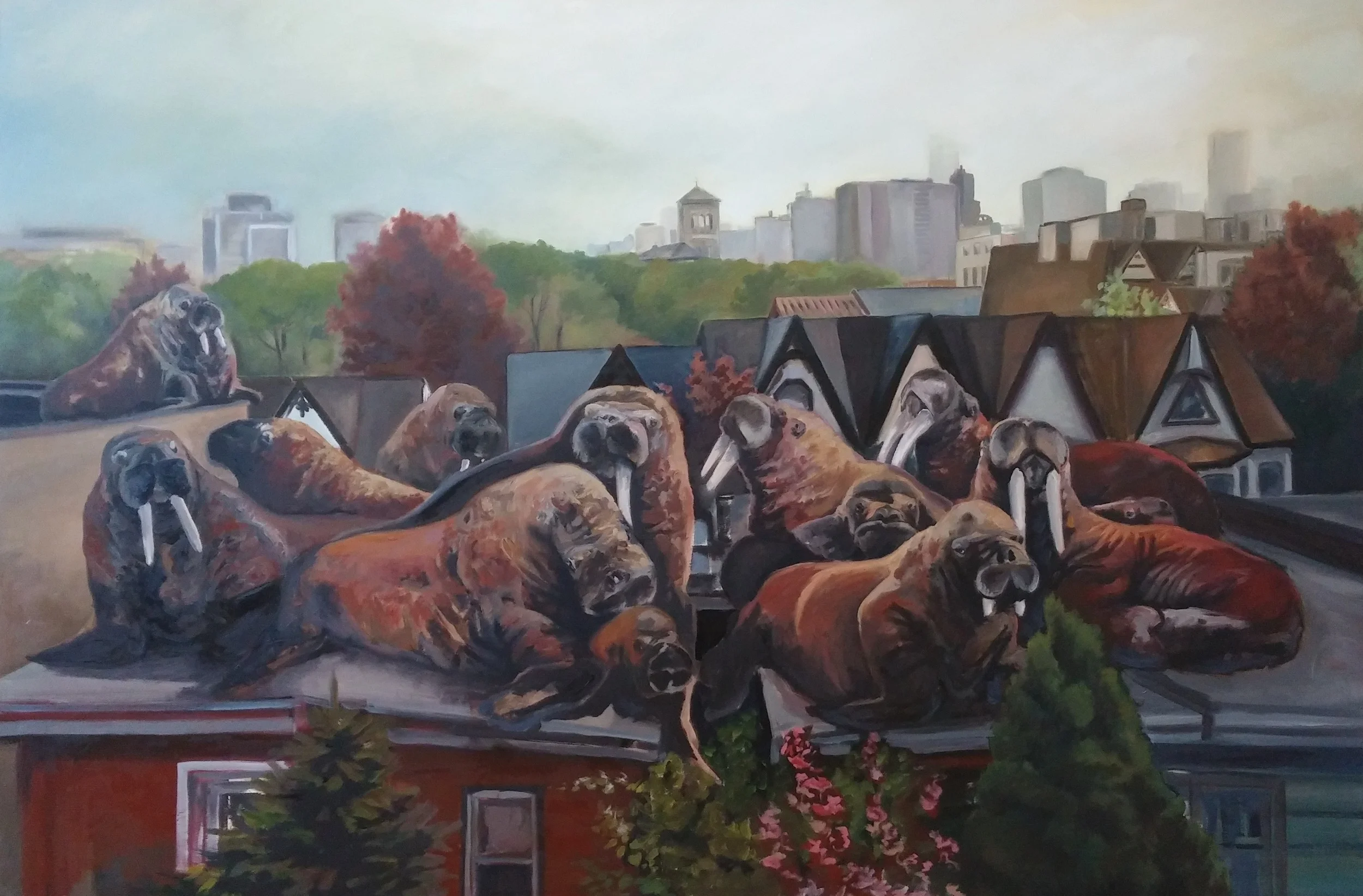 Walrus waking in Corktown