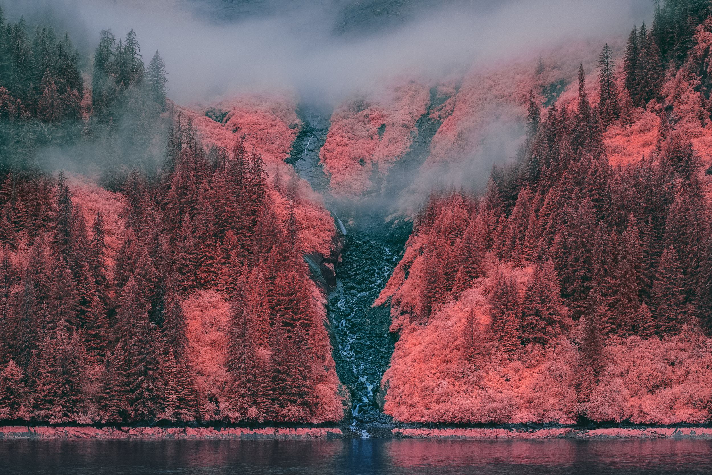 _DSF6687_3000px.png