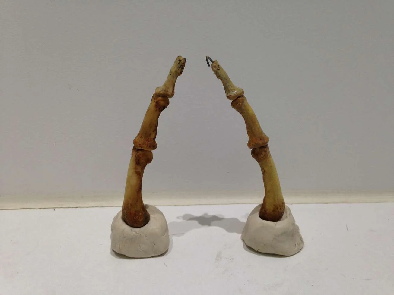 Imiter l'os avec de la résine