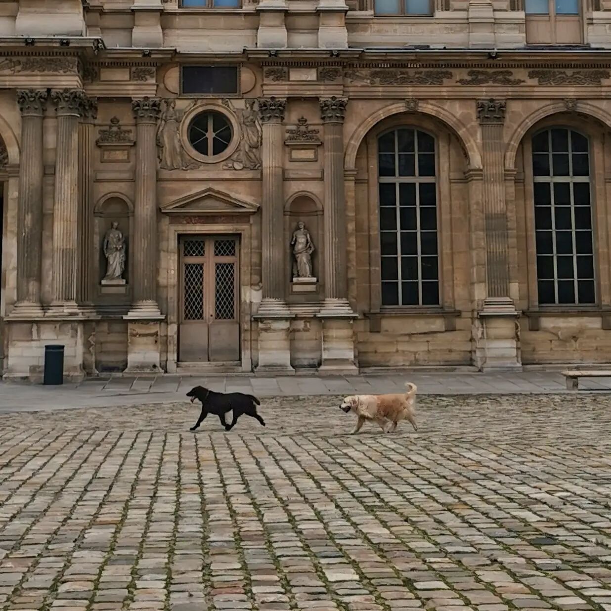 J'ai us&eacute; mes fonds de culotte dans ce palais pendant quatre ann&eacute;es. 4 ans d'apprentissage et d'emmagasinage de connaissances. J'&eacute;tais une jeune &eacute;tudiante de 20 ans affam&eacute;e de culture (et je le suis rest&eacute;e). I