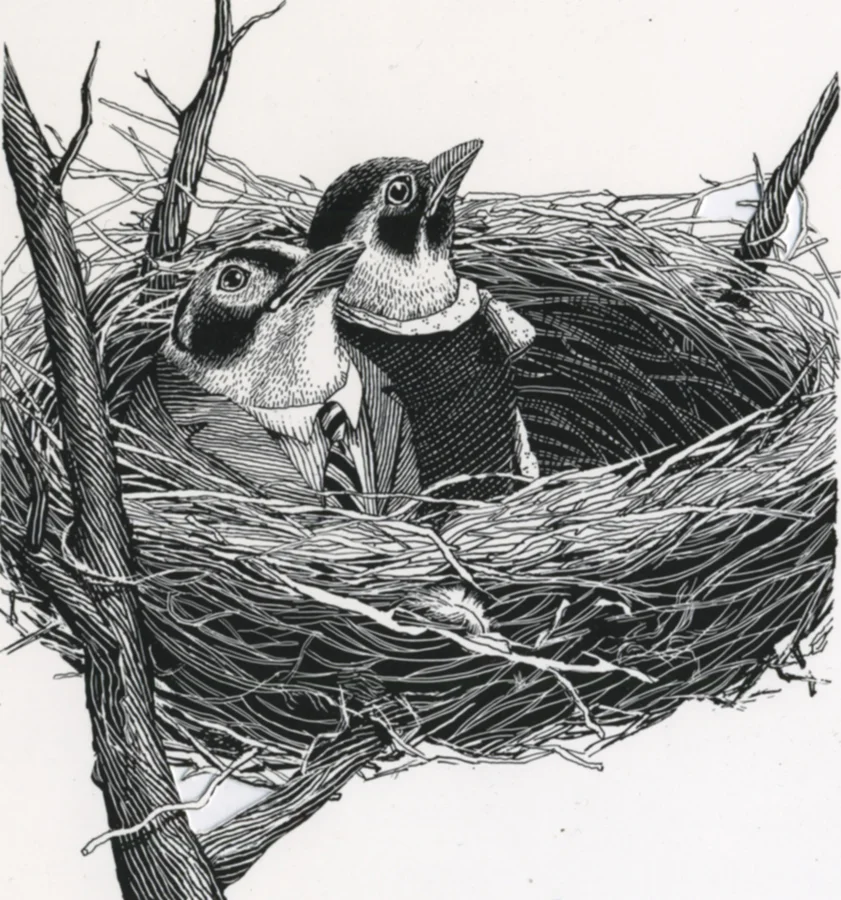 emptynest.jpg