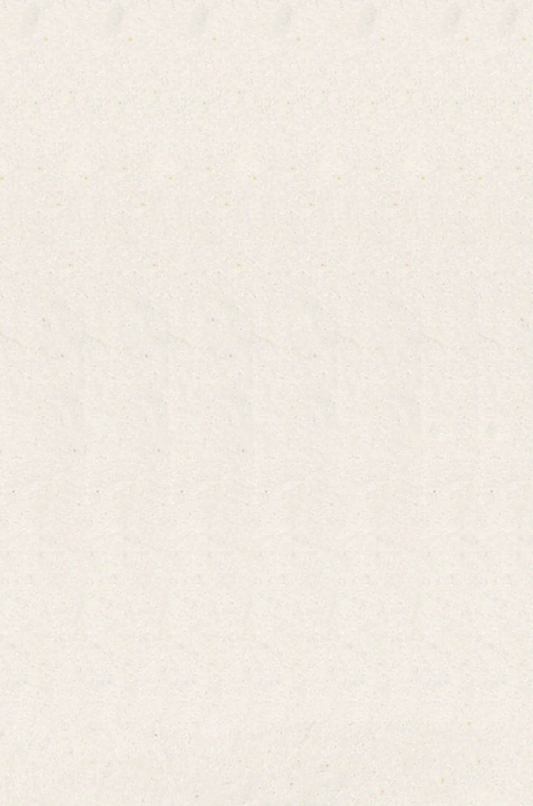 Cream Blank Page.jpg